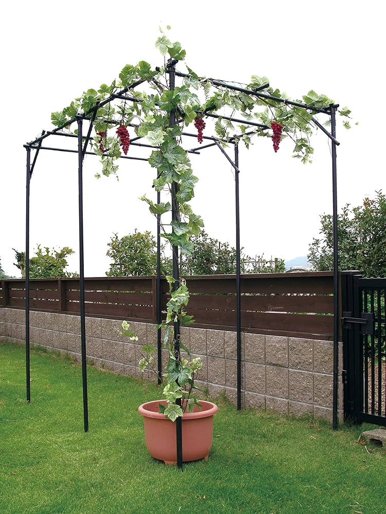 【新品❣️未使用‼️未開封‼️】果物棚セット パーゴラ　キウイ棚　葡萄棚　藤棚 Amazon | daim パーゴラ 果物棚 セット 幅90cm 奥行120cm 高さ